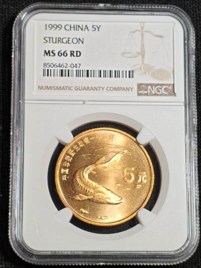 刘世昌艺术品销售中心～虎踞龙蟠*金杨在线联拍群第518期 - 1999年流通纪念币“中华鲟”（NGC   MS66RD    串号：8506462-047）1枚。