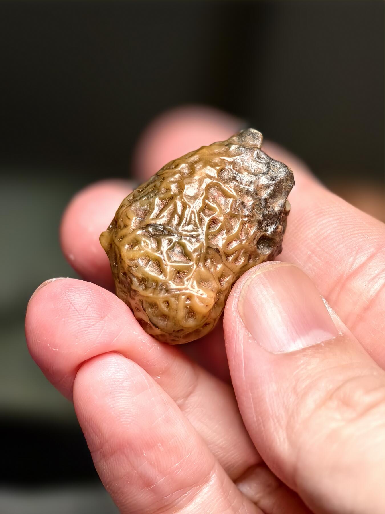 抚柳草堂-第十四期章牌钱币  奖章勋章限时免佣 满百包邮 放漏专场 筋脉石玛瑙 经脉石一块 经脉清晰独特