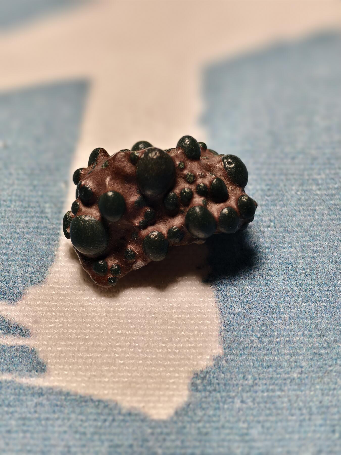 抚柳草堂-第十四期章牌钱币  奖章勋章限时免佣 满百包邮 放漏专场