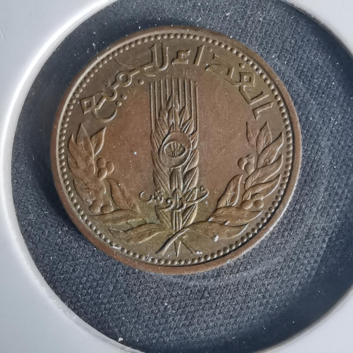 沼泽如烟--第1015场 叙利亚纪念币