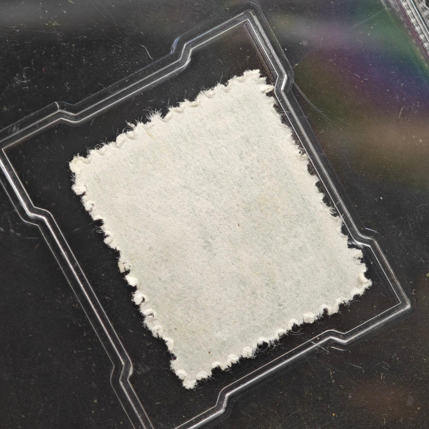 3月众诚评级邮票、符卡专场7号结束 众诚评级 民国邮票 具体看标签