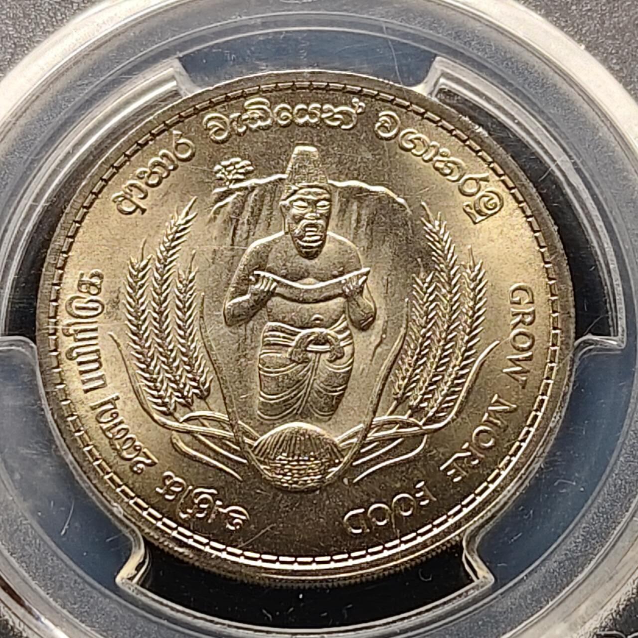 【全场包邮】纯粹捡漏拍509场