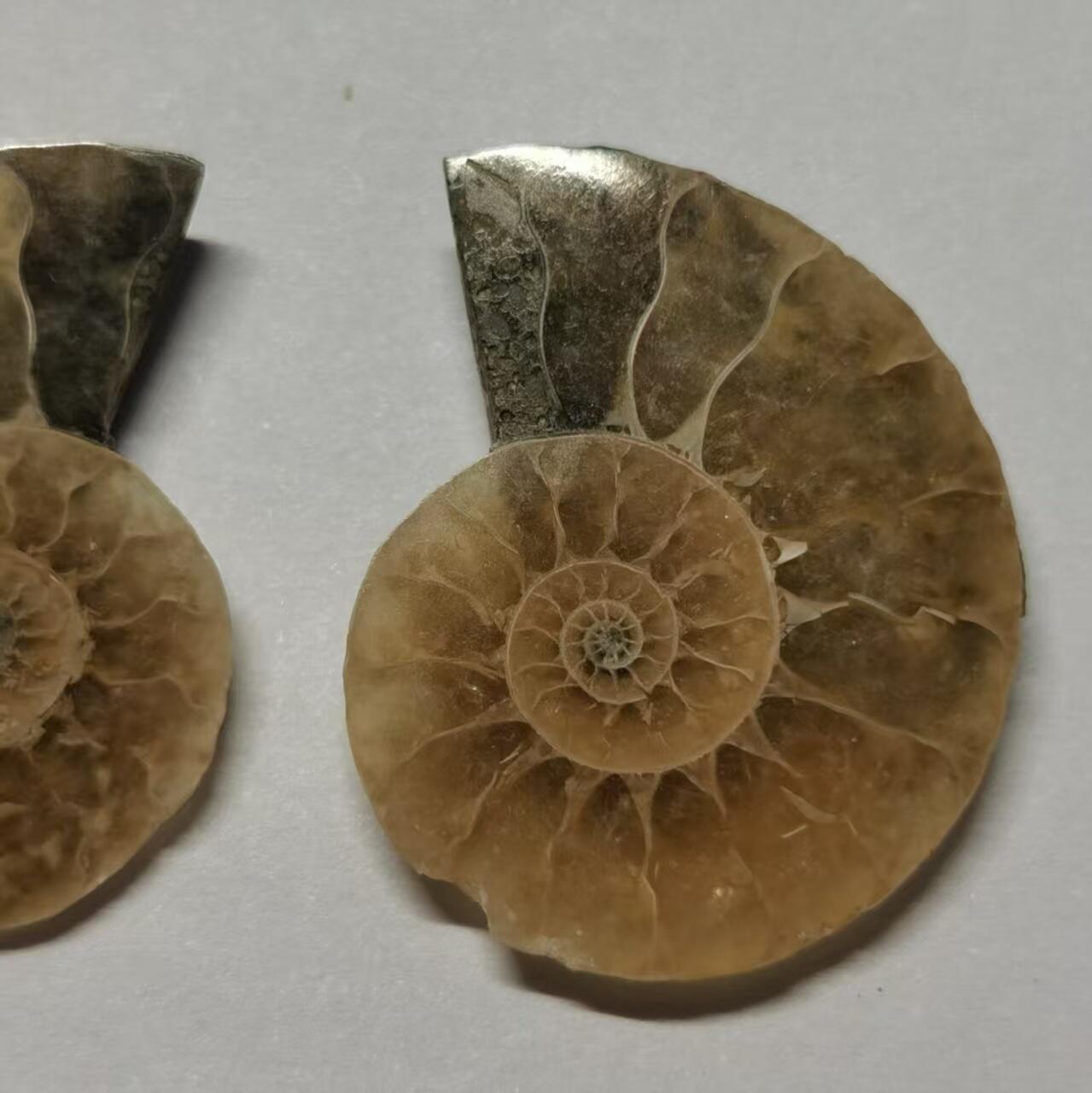 七河·世界世界币章杂件小拍（总第40期）