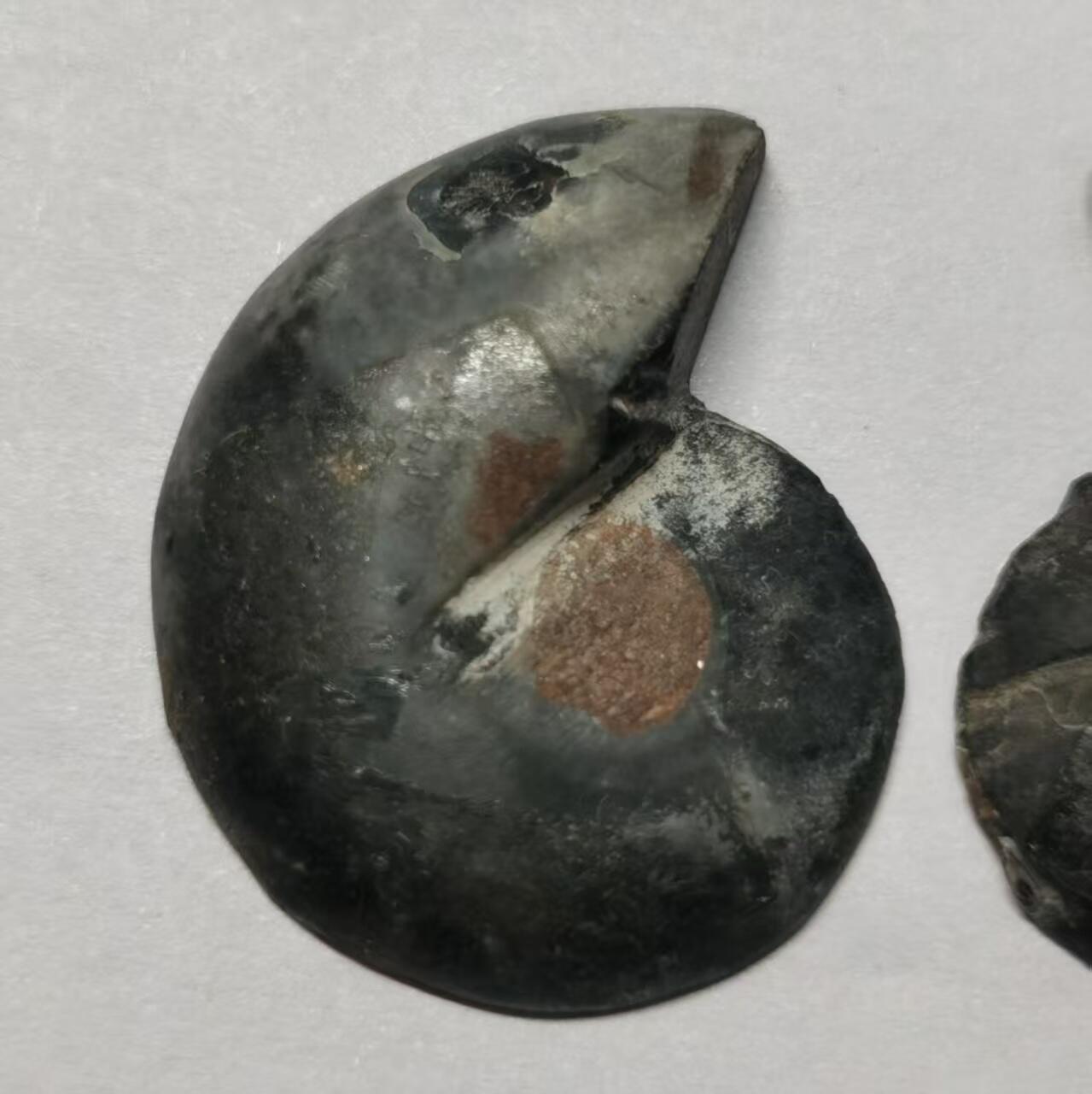 七河·世界世界币章杂件小拍（总第40期）