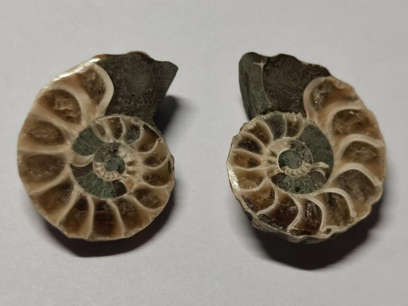 七河·世界世界币章杂件小拍（总第40期）