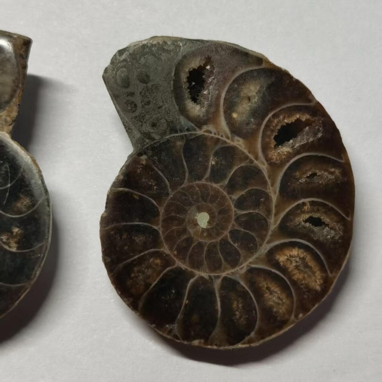 七河·世界世界币章杂件小拍（总第40期）