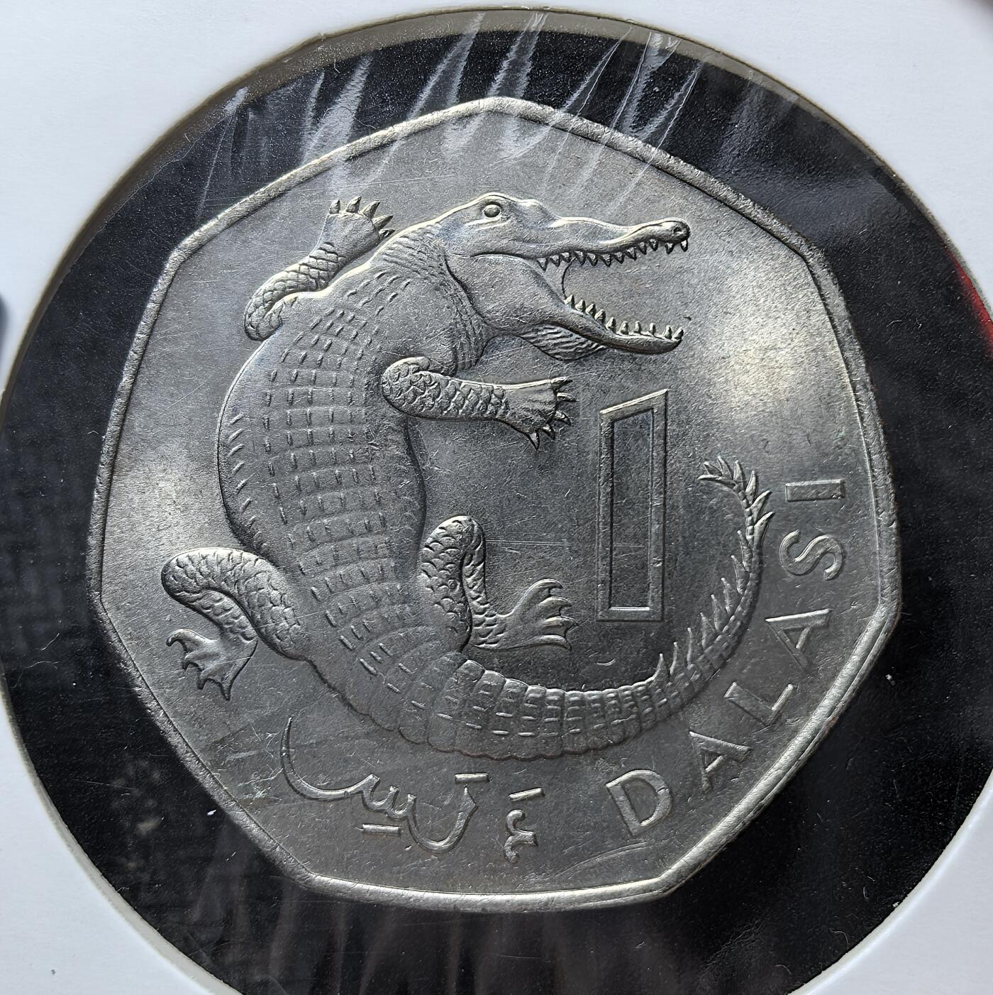 外国优质老铜币银币苏联纪念章，每周六晚九点倒数截拍，满百包邮可寄存，持续收拍 冈比亚1987年大鳄鱼1 达拉西，正面为开国总统达乌达・贾瓦拉头像，背面是象征本土的鳄鱼图案。1971 年冈比亚启用达拉西取代旧币，此币为该国独立后货币体系迭代的实物见证，兼具政治符号与地域文化标识。