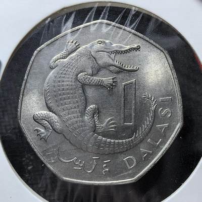 外国优质老铜币银币苏联纪念章，每周六晚九点倒数截拍，满百包邮可寄存，持续收拍 - 冈比亚1987年大鳄鱼1 达拉西，正面为开国总统达乌达・贾瓦拉头像，背面是象征本土的鳄鱼图案。1971 年冈比亚启用达拉西取代旧币，此币为该国独立后货币体系迭代的实物见证，兼具政治符号与地域文化标识。
