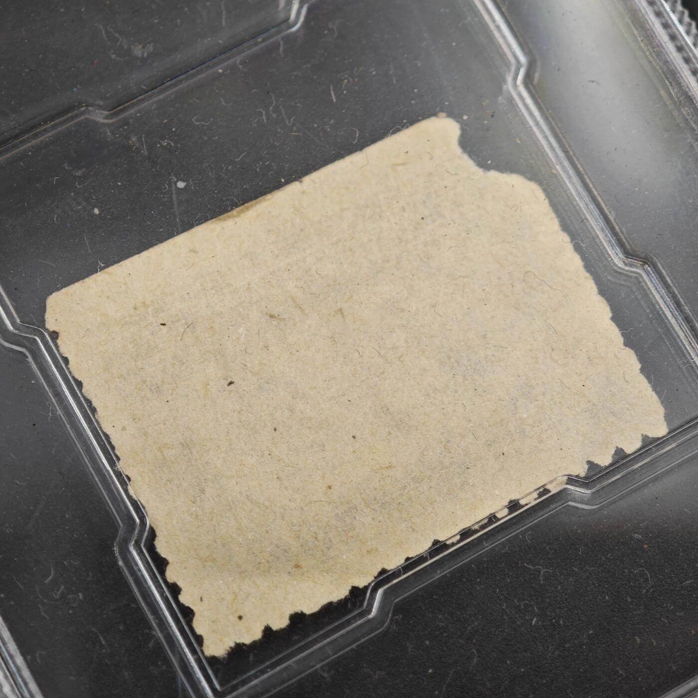 3月众诚评级邮票、符卡专场7号结束 众诚评级 民国邮票 具体看标签