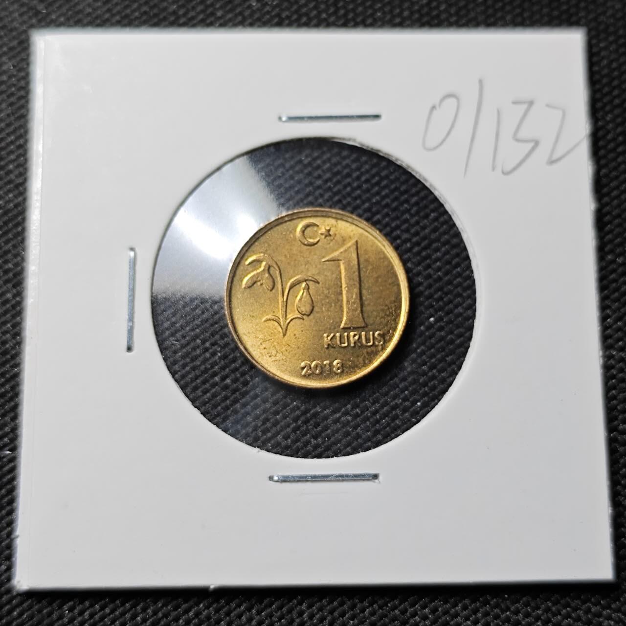 KK钱币收藏小铺   第401期 2月预留时间 周末发货  2018土耳其1库鲁 好品