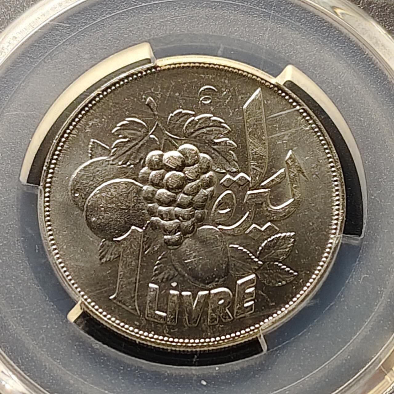 【全场包邮】纯粹捡漏拍509场