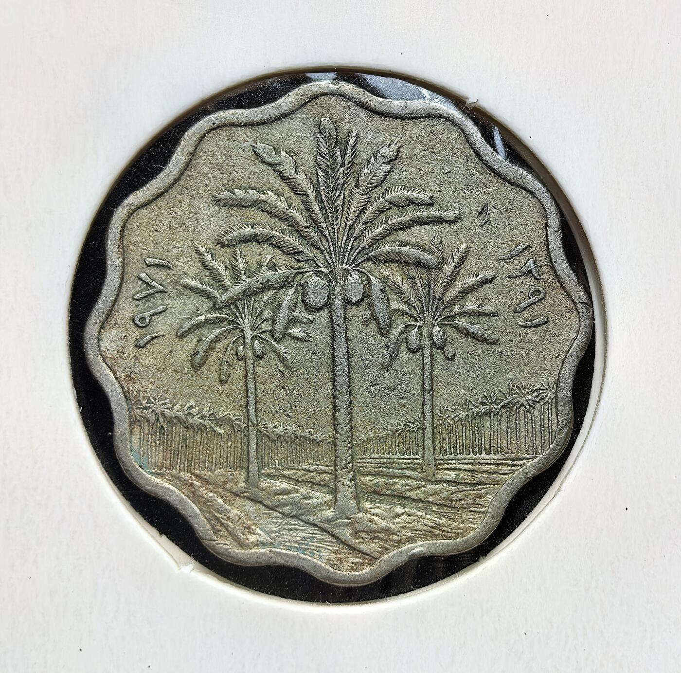 外国优质老铜币银币苏联纪念章，每周六晚九点倒数截拍，满百包邮可寄存，持续收拍 伊拉克共和国1971年5 费尔，部分年份为 FAO 粮农组织纪念版。币面棕榈树象征伊拉克农业与椰枣产业，麦穗与叶片呼应粮食生产主题，回历年份标注体现伊斯兰历法，是两伊战争前伊拉克经济与农业发展的实物见证。