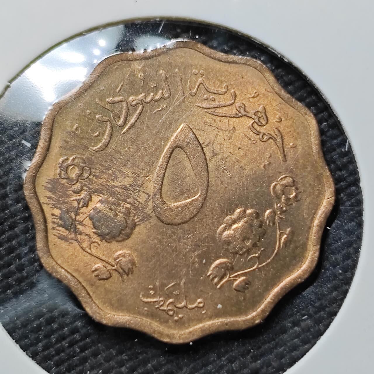 KK钱币收藏小铺   第401期 2月预留时间 周末发货  苏丹5米利姆铜币 好品