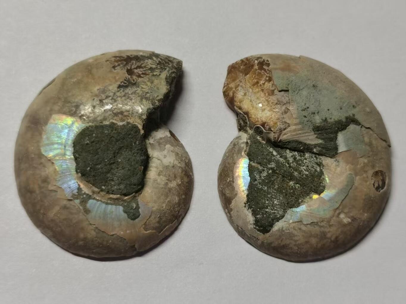 七河·世界世界币章杂件小拍（总第40期）