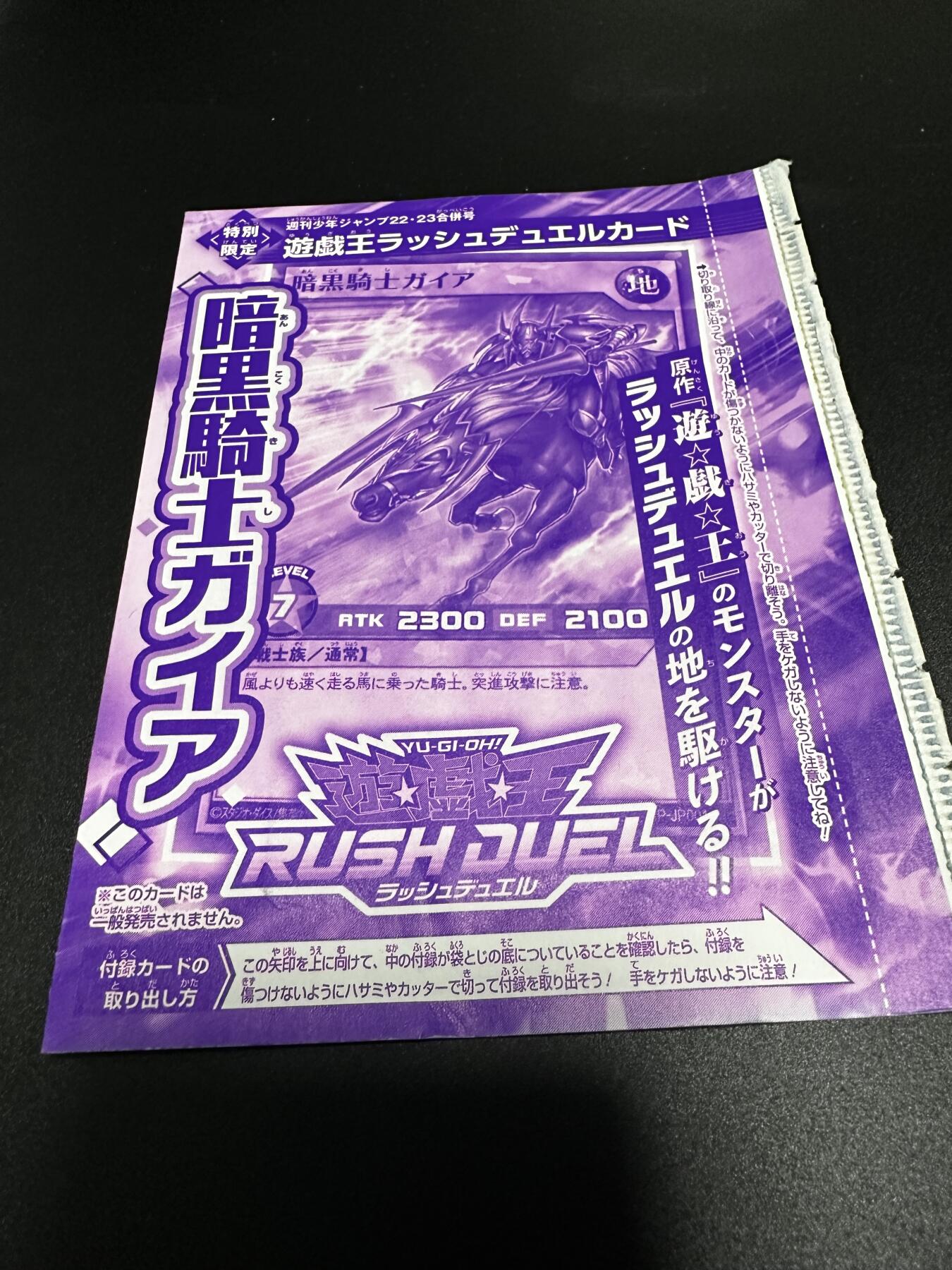 游戏王卡牌正版日文日版  书卡（内含RD暗黑骑士一张）NPR