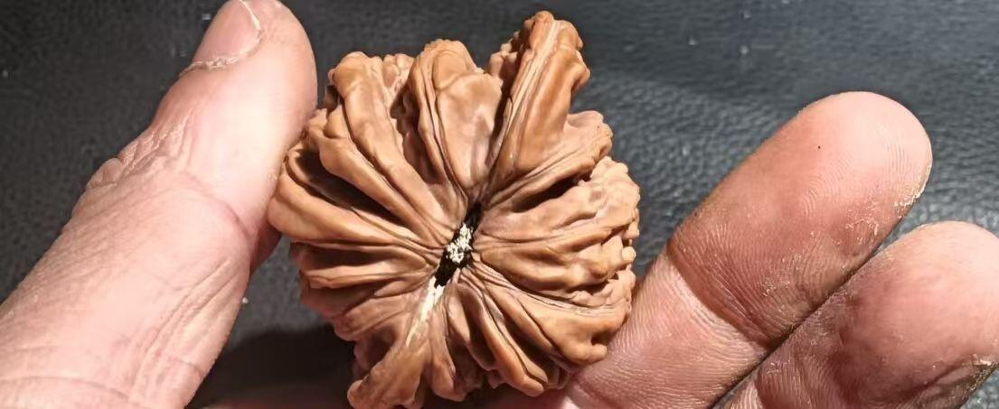 核桃创意煤油打火机