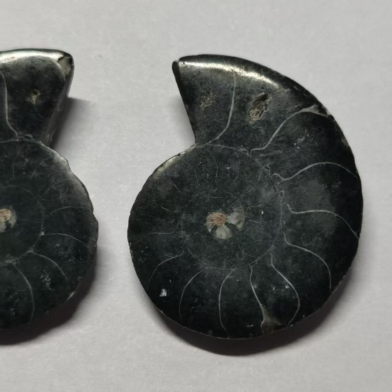 七河·世界世界币章杂件小拍（总第40期）