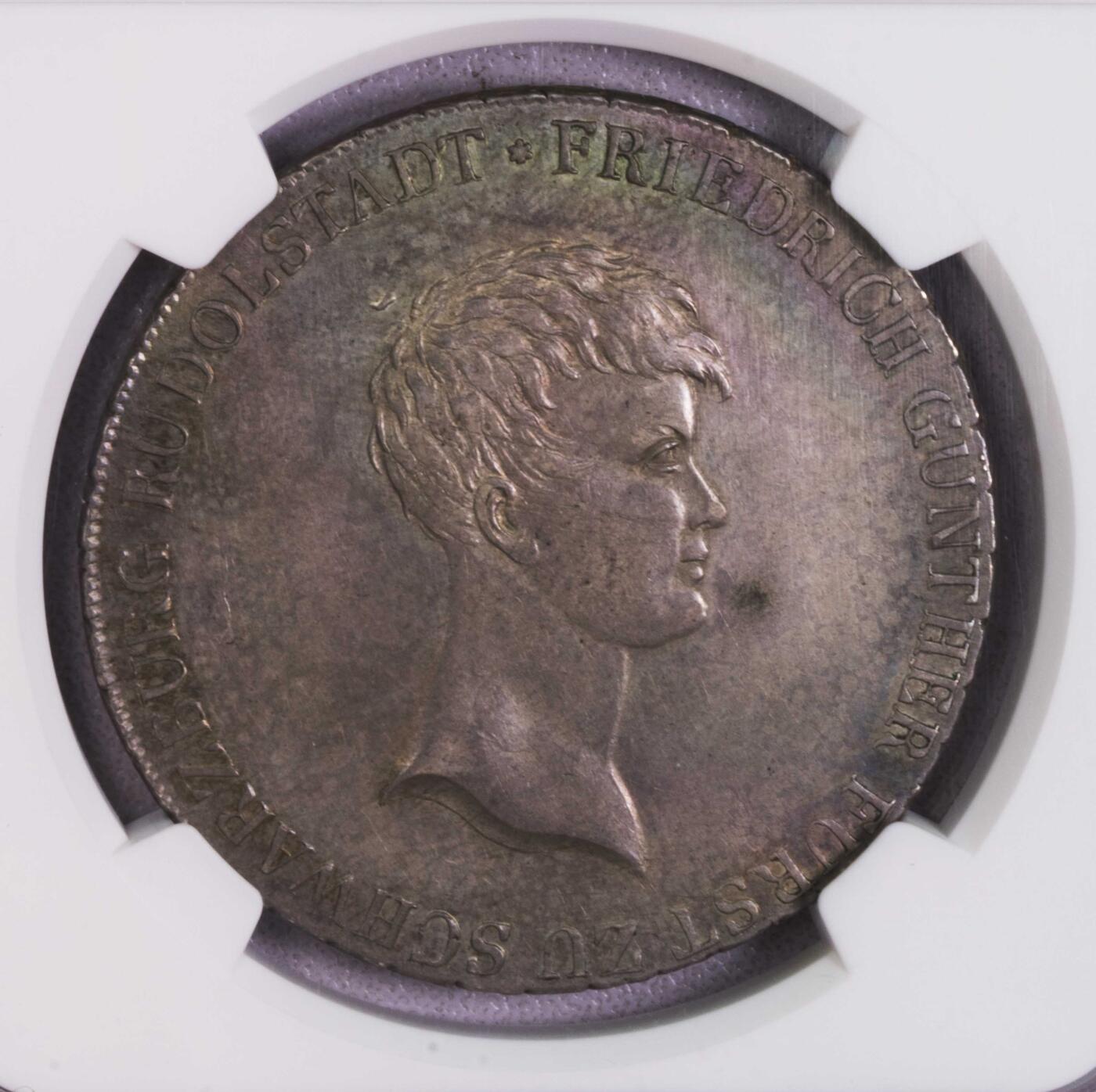 NGC-MS62 1812德国施瓦茨堡鲁道尔斯塔特公园大泰勒