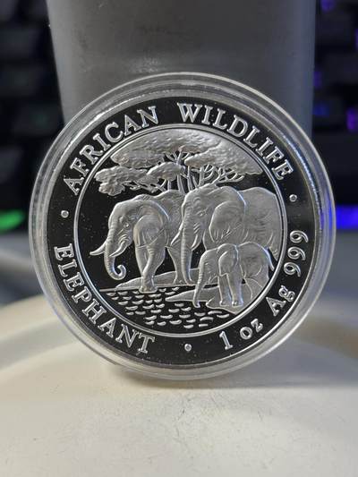 第192期拍卖 - 索马里2013年世界投资银币系列大象1盎司纪念银币，999银