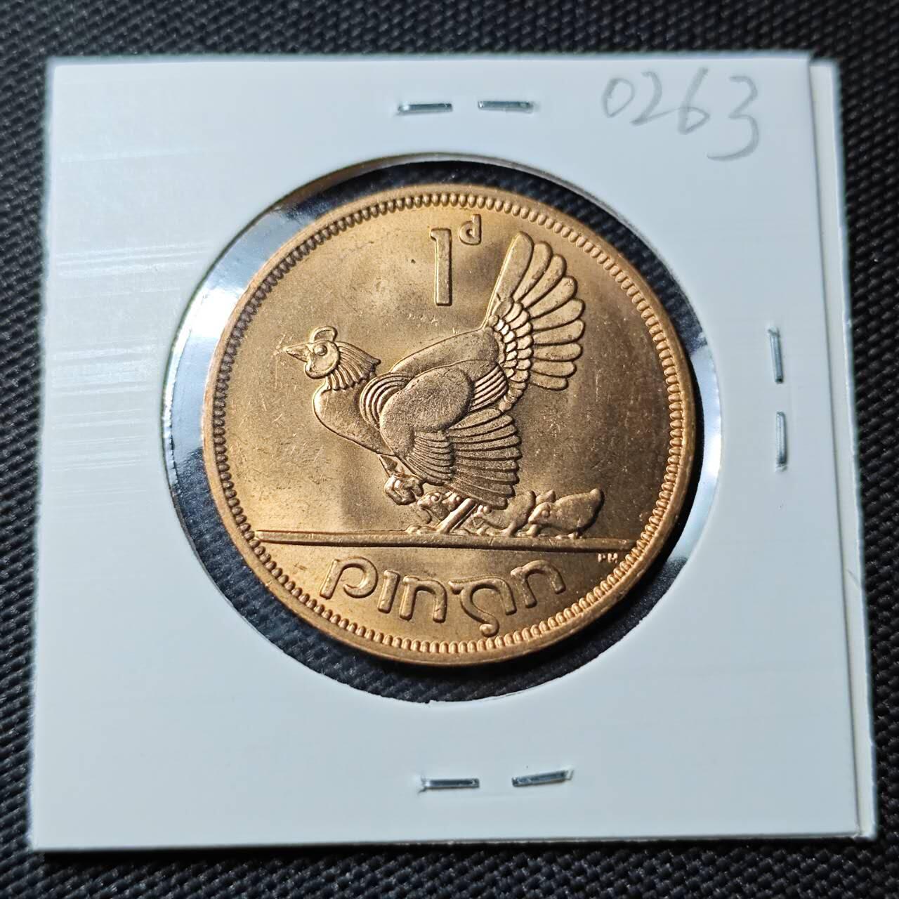 KK钱币收藏小铺   第402期 2月预留时间 周末发货  爱尔兰1便士铜币 母鸡 好品