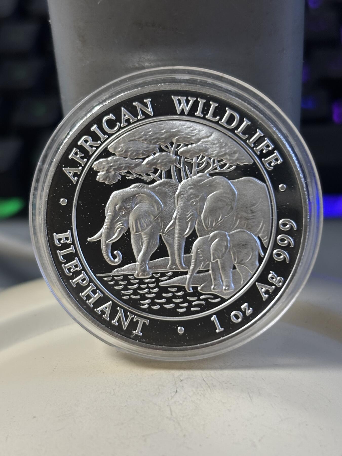 第192期拍卖 索马里2013年世界投资银币系列大象1盎司纪念银币，999银