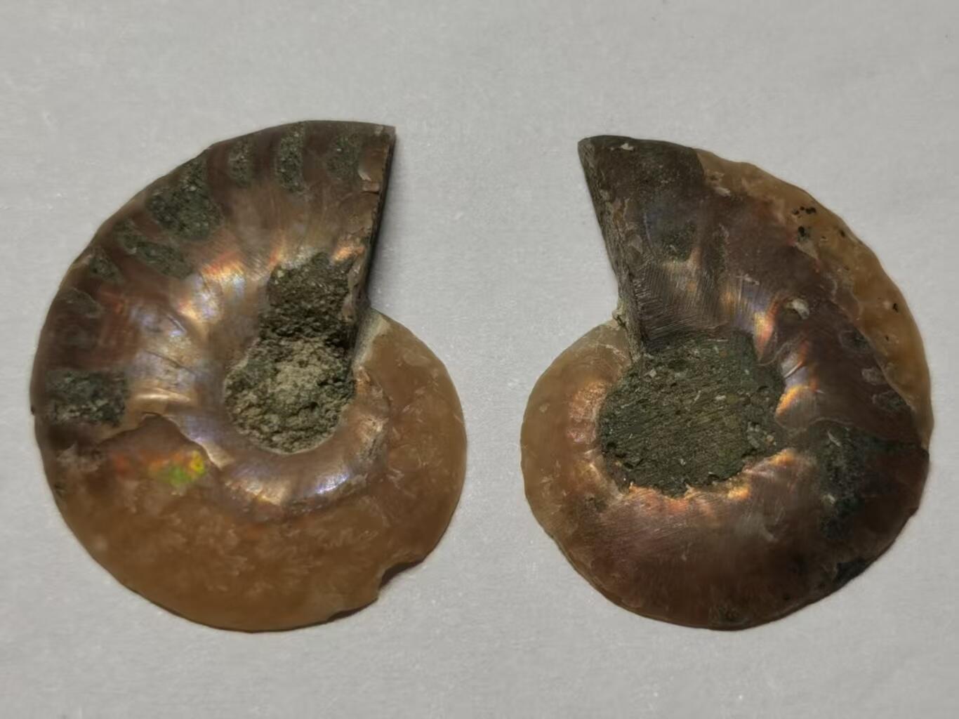 七河·世界世界币章杂件小拍（总第40期）