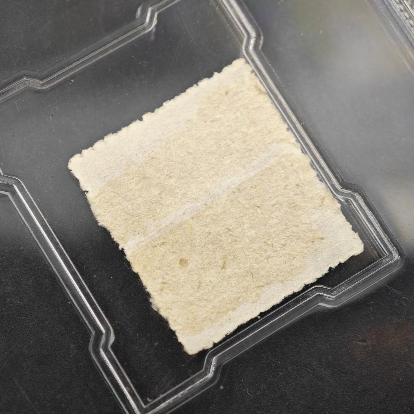 3月众诚评级邮票、符卡专场7号结束 众诚评级 民国邮票 具体看标签