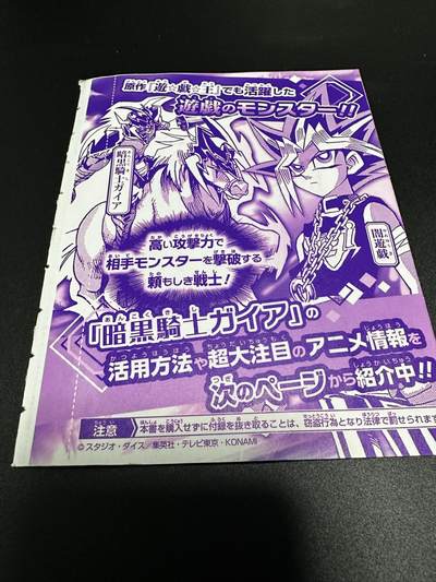 游戏王卡牌正版日文日版  书卡（内含RD暗黑骑士一张）NPR - 游戏王卡牌正版日文日版  书卡（内含RD暗黑骑士一张）NPR