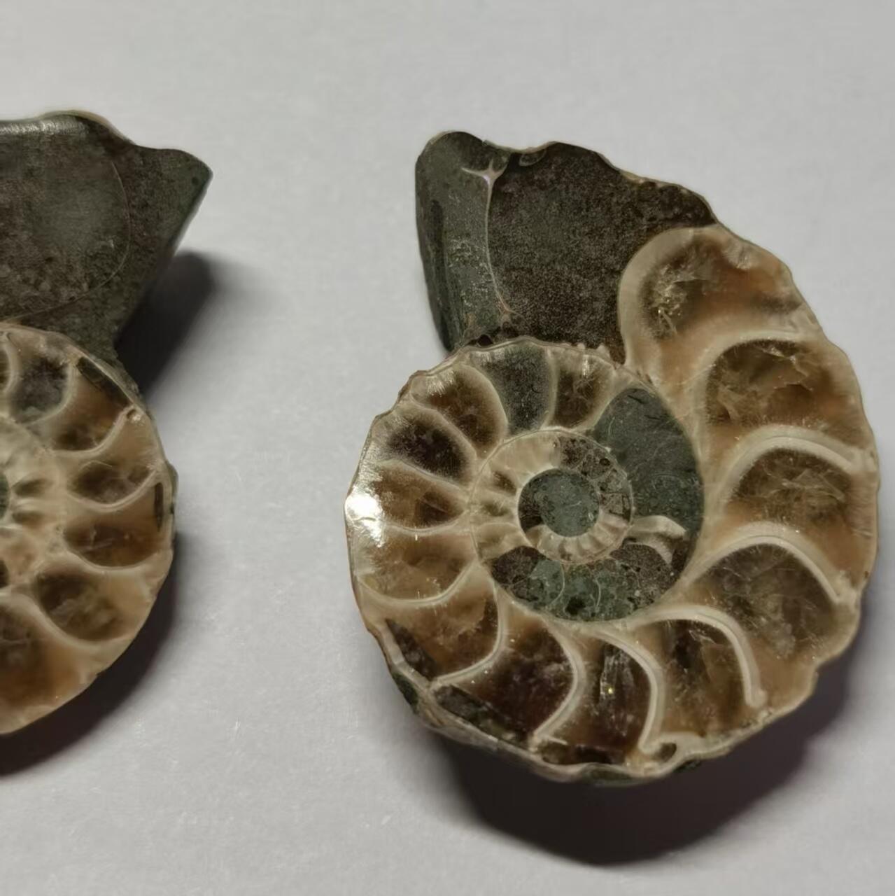 七河·世界世界币章杂件小拍（总第40期）