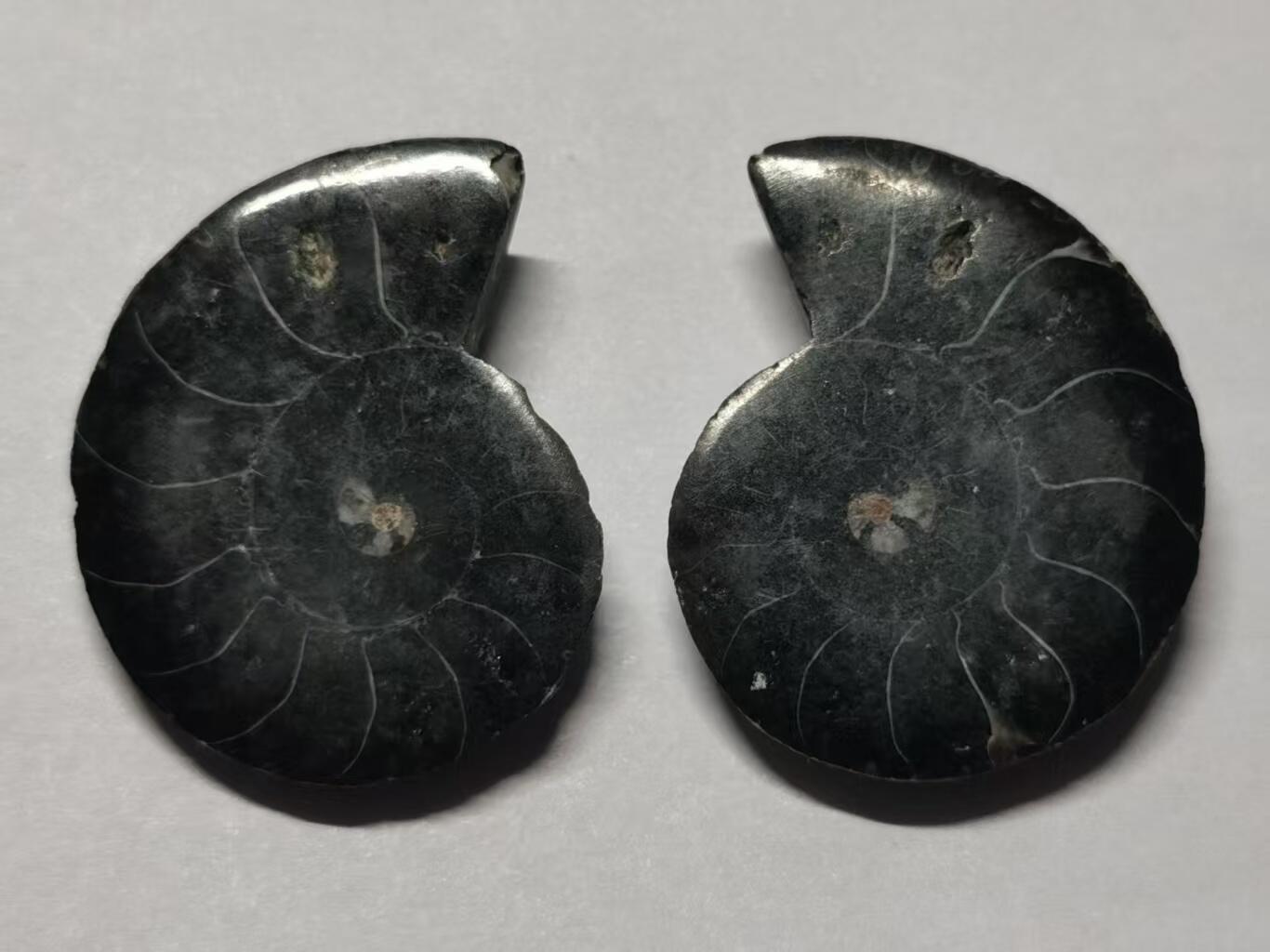 七河·世界世界币章杂件小拍（总第40期）