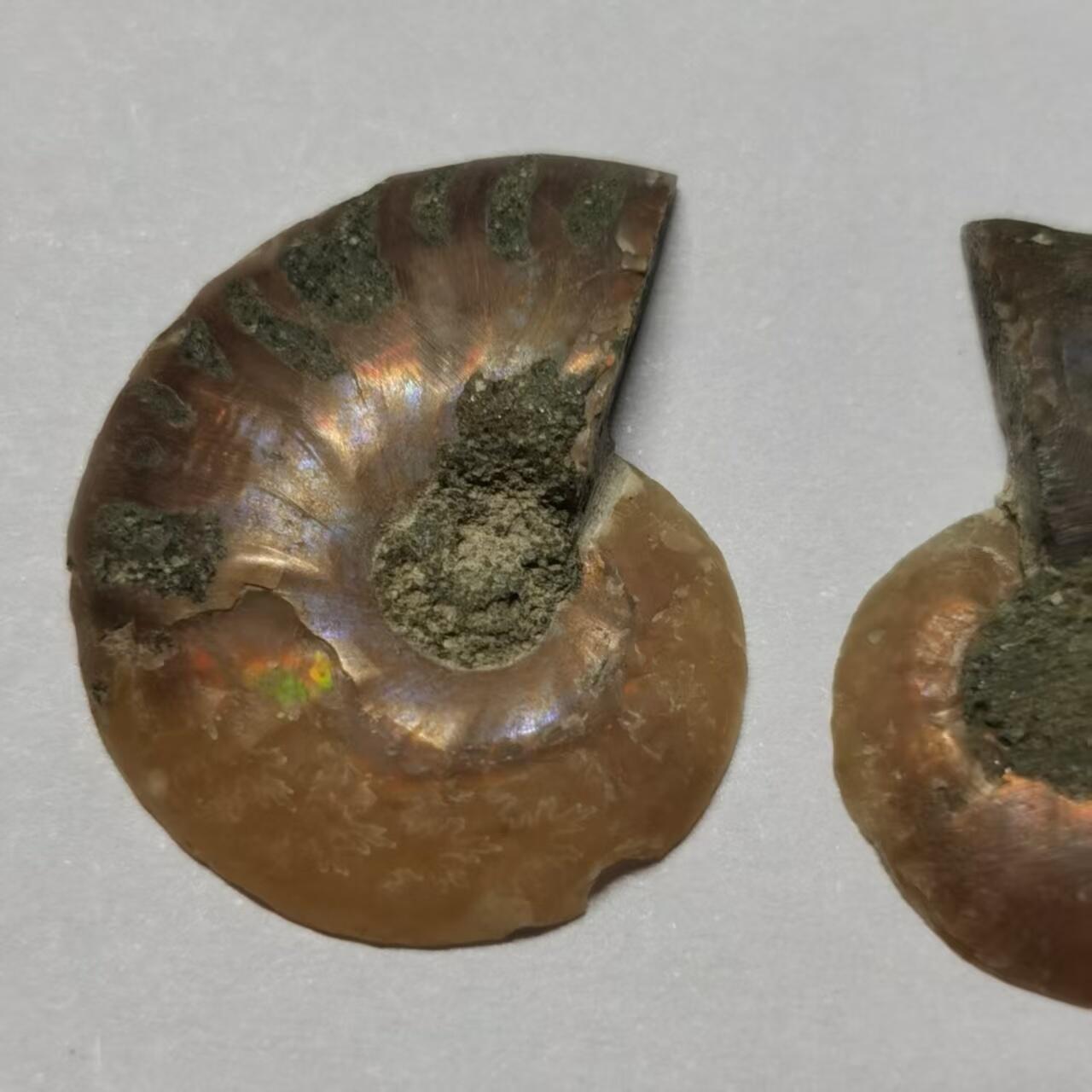 七河·世界世界币章杂件小拍（总第40期）