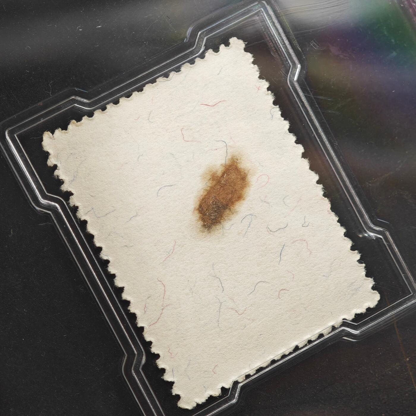 3月众诚评级邮票、符卡专场7号结束 众诚评级 民国邮票 具体看标签