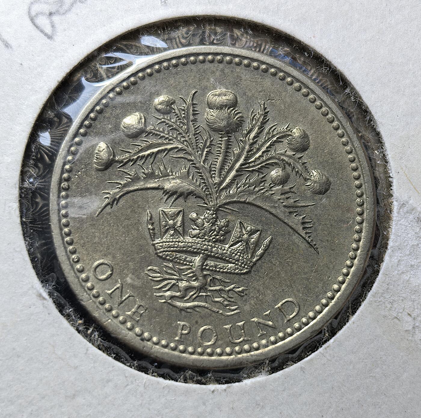 外国优质老铜币银币苏联纪念章，每周六晚九点倒数截拍，满百包邮可寄存，持续收拍 好品英国地区英镑花卉系列首枚背面蓟花配王冠象征苏格兰，蓟花是苏格兰国花，边缘刻有 “无人可犯我而不受惩” 的格言，正面为伊丽莎白二世头像。