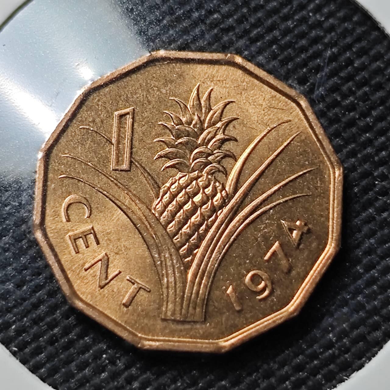 KK钱币收藏小铺   第401期 2月预留时间 周末发货  1974斯威士兰1分铜币 好品