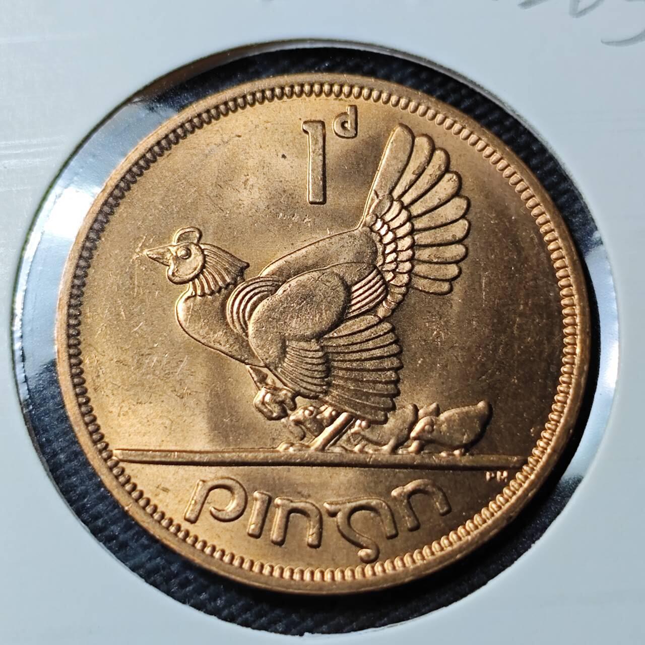 KK钱币收藏小铺   第402期 2月预留时间 周末发货  爱尔兰1便士铜币 母鸡 好品