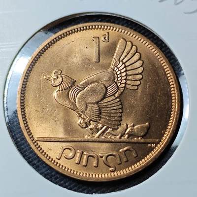 KK钱币收藏小铺   第402期 2月预留时间 周末发货 -  爱尔兰1便士铜币 母鸡 好品