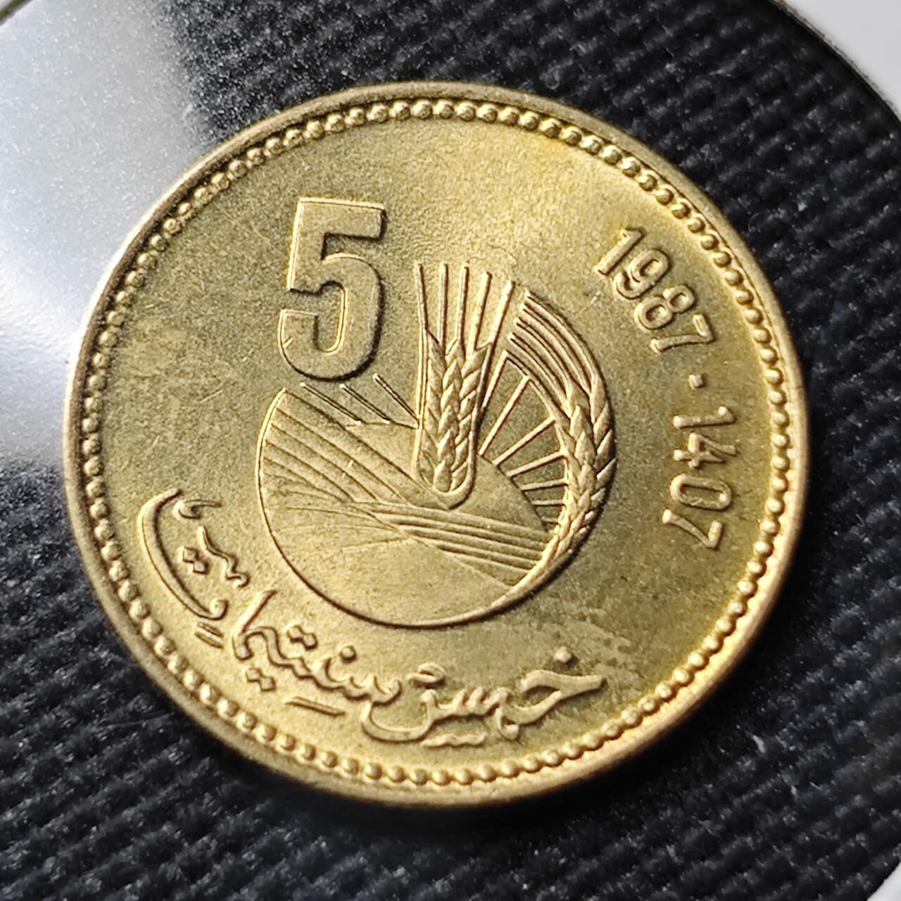 KK钱币收藏小铺   第402期 2月预留时间 周末发货