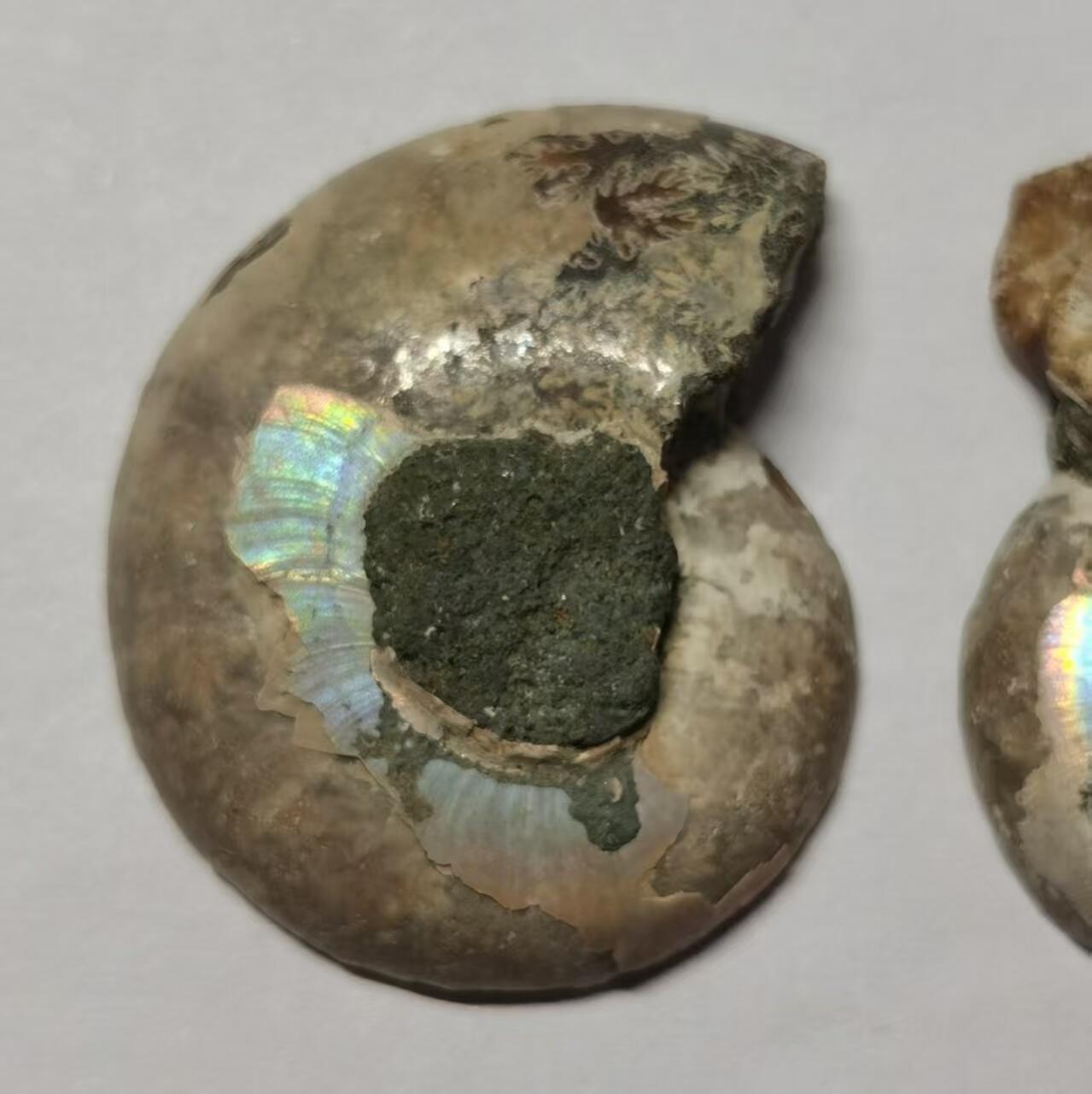 七河·世界世界币章杂件小拍（总第40期）