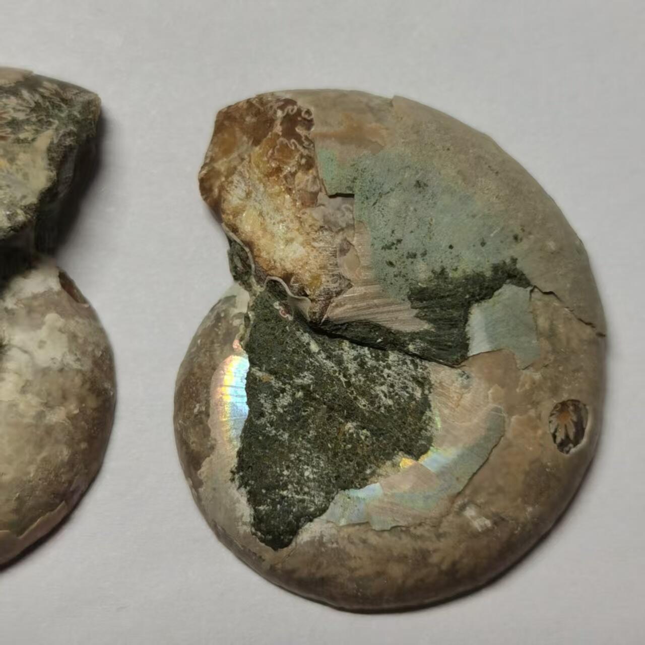 七河·世界世界币章杂件小拍（总第40期）