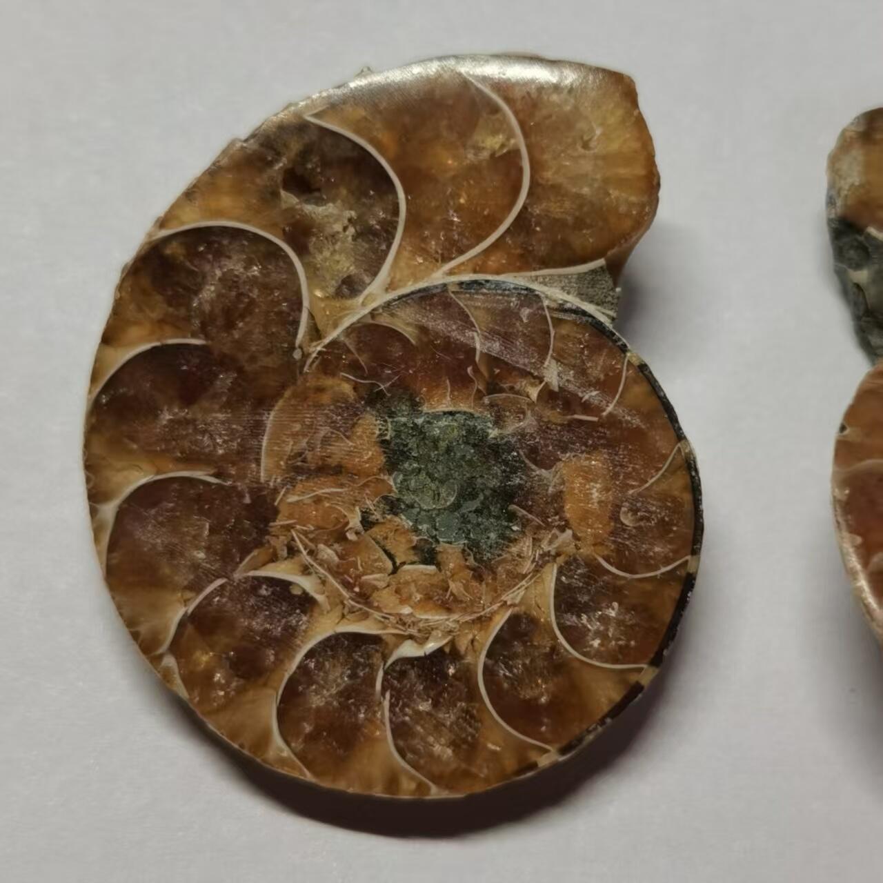 七河·世界世界币章杂件小拍（总第40期）