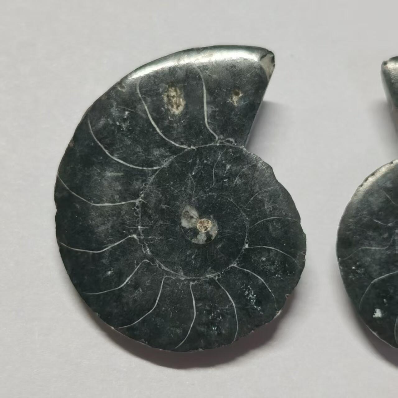 七河·世界世界币章杂件小拍（总第40期）