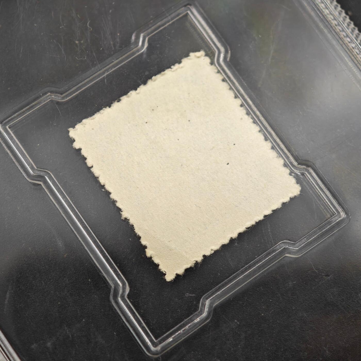 3月众诚评级邮票、符卡专场7号结束 众诚评级 民国邮票 具体看标签