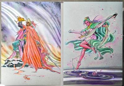 白泽拍卖卡牌手绘专场第33期（去岁千般皆如愿 今年万事定称心） - 2025 百里卡牌 港漫水浒 大卡 2张 A4 林冲230/396，扈三娘300/396 粗闪 卡夹封装