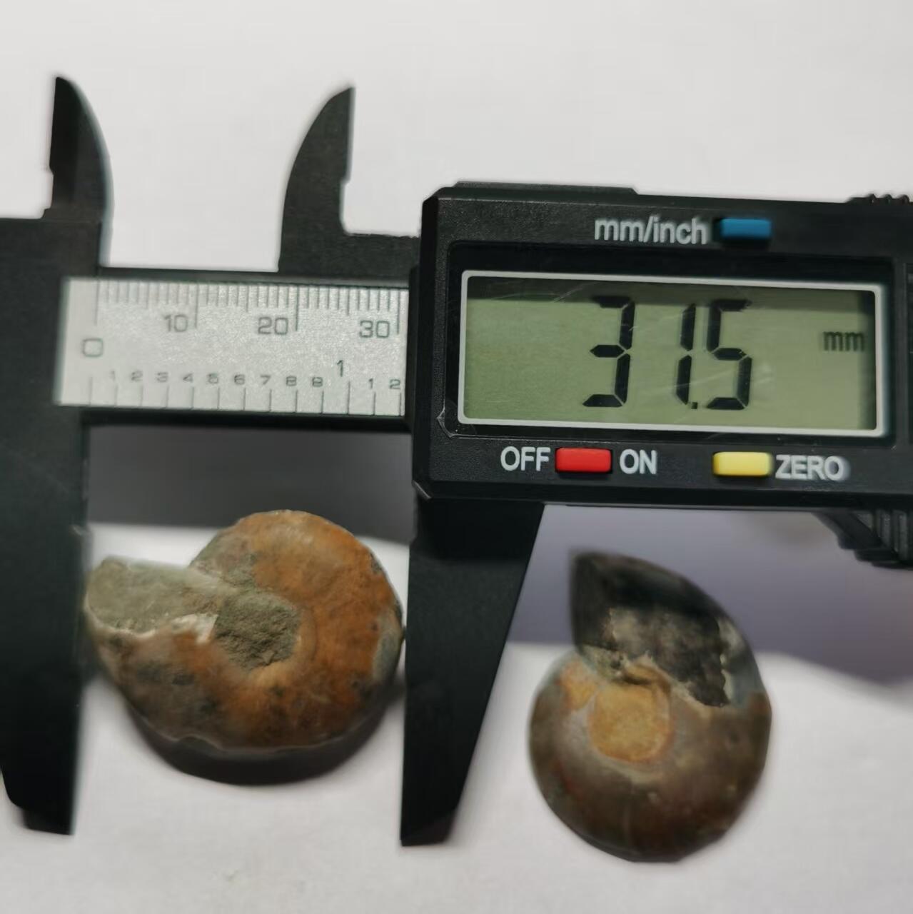 七河·世界世界币章杂件小拍（总第40期）