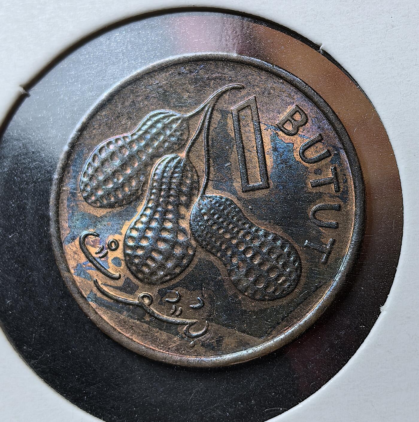 外国优质老铜币银币苏联纪念章，每周六晚九点倒数截拍，满百包邮可寄存，持续收拍 冈比亚1974年花生1布图，属于 FAO 粮食纪念系列。正面是首任总统贾瓦拉像，背面刻花生（冈比亚核心经济作物）与面值，见证 1971 年后新货币体系及农业立国的时代背景。