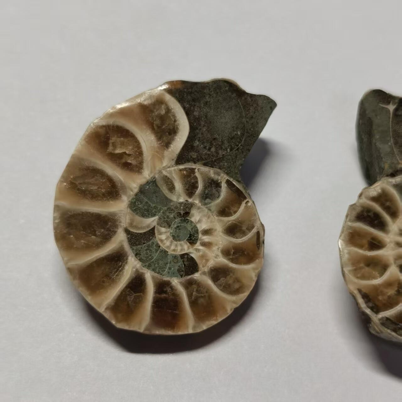 七河·世界世界币章杂件小拍（总第40期）