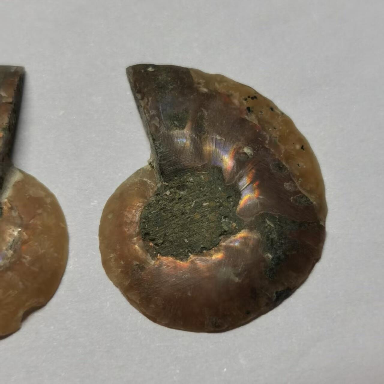 七河·世界世界币章杂件小拍（总第40期）