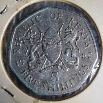 沼泽如烟--第1014场 - 肯尼亚1985年5先令