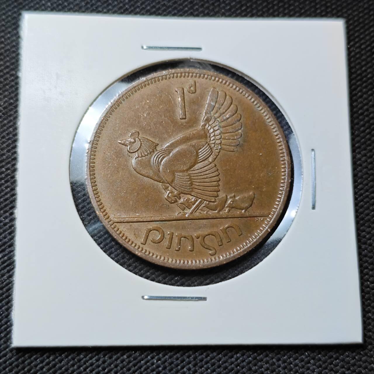 KK钱币收藏小铺   第403期 2月预留时间 周末发货  爱尔兰1便士铜币