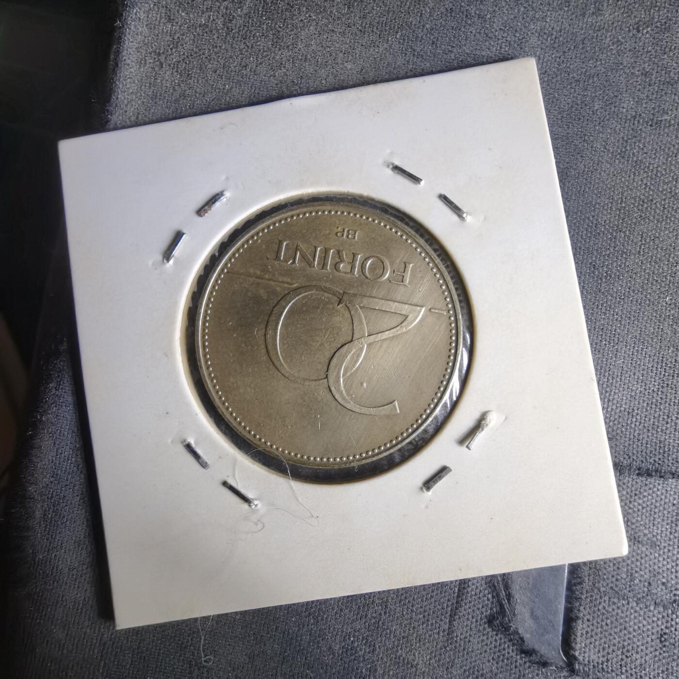 沼泽如烟--第1014场